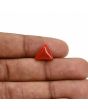 Red Coral (Moonga) Carat 3.73 