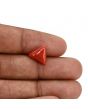 Red Coral (Moonga) Carat 3.73 
