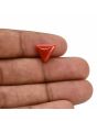 Red Coral (Moonga) Carat 3.73 