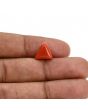 Red Coral (Moonga) Carat 4.14 