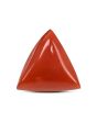 Red Coral (Moonga) Carat 4.26 