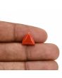 Red Coral (Moonga) Carat 4.26 