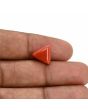 Red Coral (Moonga) Carat 4.26 