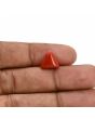 Red Coral (Moonga) Carat 4.1 