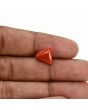 Red Coral (Moonga) Carat 4.1 