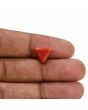 Red Coral (Moonga) Carat 4.1 