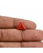 Red Coral (Moonga) Carat 3.88 