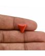 Red Coral (Moonga) Carat 3.88 
