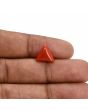 Red Coral (Moonga) Carat 3.52 