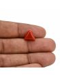 Red Coral (Moonga) Carat 4.07 