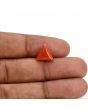 Red Coral (Moonga) Carat 3.95 