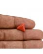 Red Coral (Moonga) Carat 3.95 