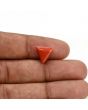 Red Coral (Moonga) Carat 3.95 