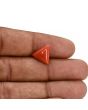 Red Coral (Moonga) Carat 4.33 
