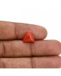 Red Coral (Moonga) Carat 3.3 