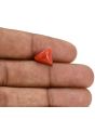 Red Coral (Moonga) Carat 3.3 