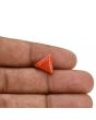 Red Coral (Moonga) Carat 3.47 