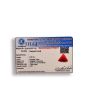 Red Coral (Moonga) Carat 3.47 