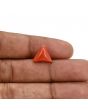 Red Coral (Moonga) Carat 4.21