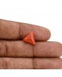 Red Coral (Moonga) Carat 4.21
