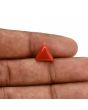 Red Coral (Moonga) Carat 3.59 