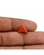 Red Coral (Moonga) Carat 4.21 