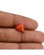 Red Coral (Moonga) Carat 4.21 