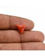 Red Coral (Moonga) Carat 4.21 