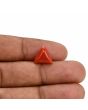 Red Coral (Moonga) Carat 3.66 