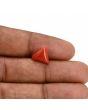 Red Coral (Moonga) Carat 3.47 
