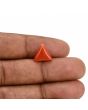 Red Coral (Moonga) Carat 3.51 