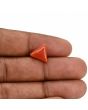 Red Coral (Moonga) Carat 3.51 