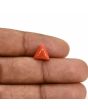 Red Coral (Moonga) Carat 2.84 