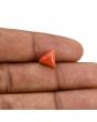 Red Coral (Moonga) Carat 2.84 