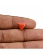 Red Coral (Moonga) Carat 2.84 
