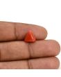 Red Coral (Moonga) Carat 3.07 