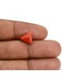 Red Coral (Moonga) Carat 3.07 