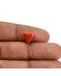 Red Coral (Moonga) Carat 3.07 