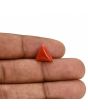 Red Coral (Moonga) Carat 3.65 