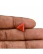Red Coral (Moonga) Carat 3.65 