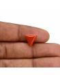 Red Coral (Moonga) Carat 3.65 