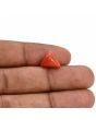 Red Coral (Moonga) Carat 3.77 