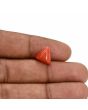 Red Coral (Moonga) Carat 3.77 