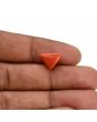 Red Coral (Moonga) Carat 3.77 