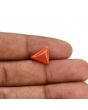 Red Coral (Moonga) Carat 3.1 