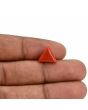 Red Coral (Moonga) Carat 3.41 