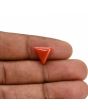 Red Coral (Moonga) Carat 3.41 
