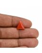 Red Coral (Moonga) Carat 3.8 