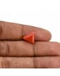 Red Coral (Moonga) Carat 3.8 