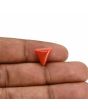 Red Coral (Moonga) Carat 3.8 